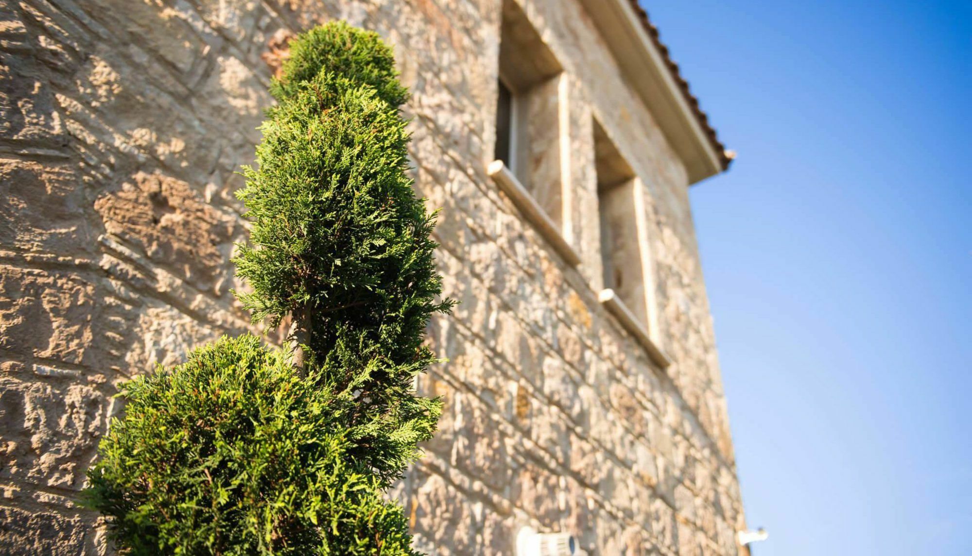 Villa Jaimi Pegeia Exterior foto